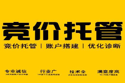 解析SEM代运营托管公司在市场竞争中的角色
